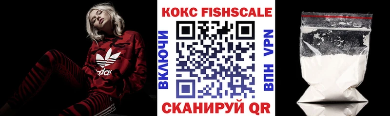 купить наркотик  Нытва  Cocaine Эквадор 
