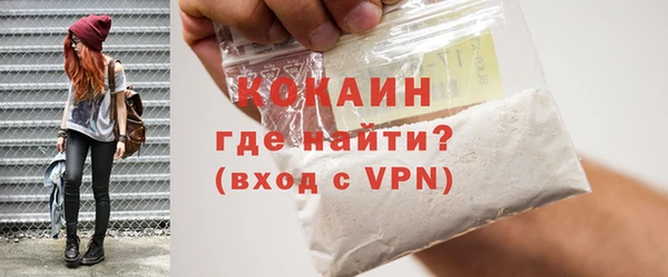 меф Ельня