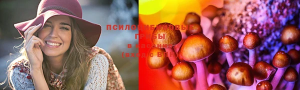 меф Ельня