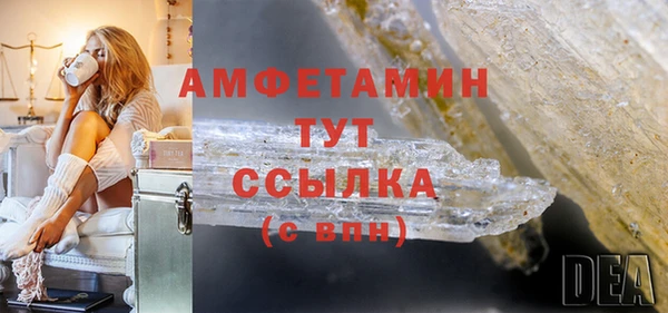 меф Ельня