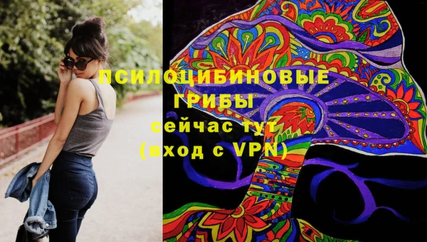 меф Ельня