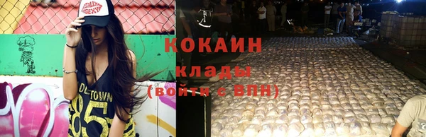 меф Ельня