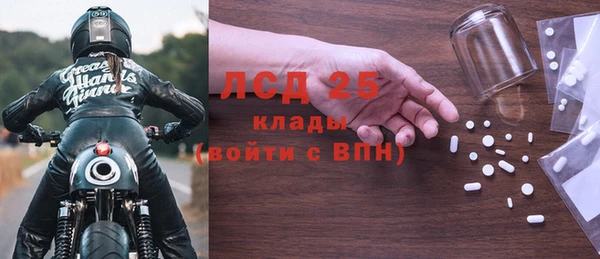 меф Ельня