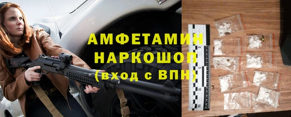 меф Ельня