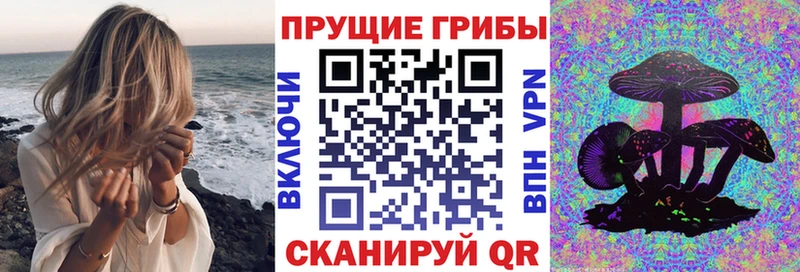 Галлюциногенные грибы Psilocybe  наркошоп  даркнет формула  Нытва 